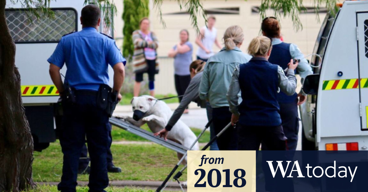 Mandurah dog to be destroyed after attack on 92yearold neighbour